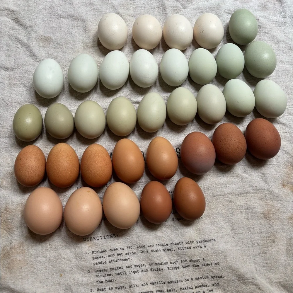 Hatching eggs 🪺 - Picture 6 of 15